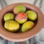 Mango Julie - Bowl by Rustic Selections
